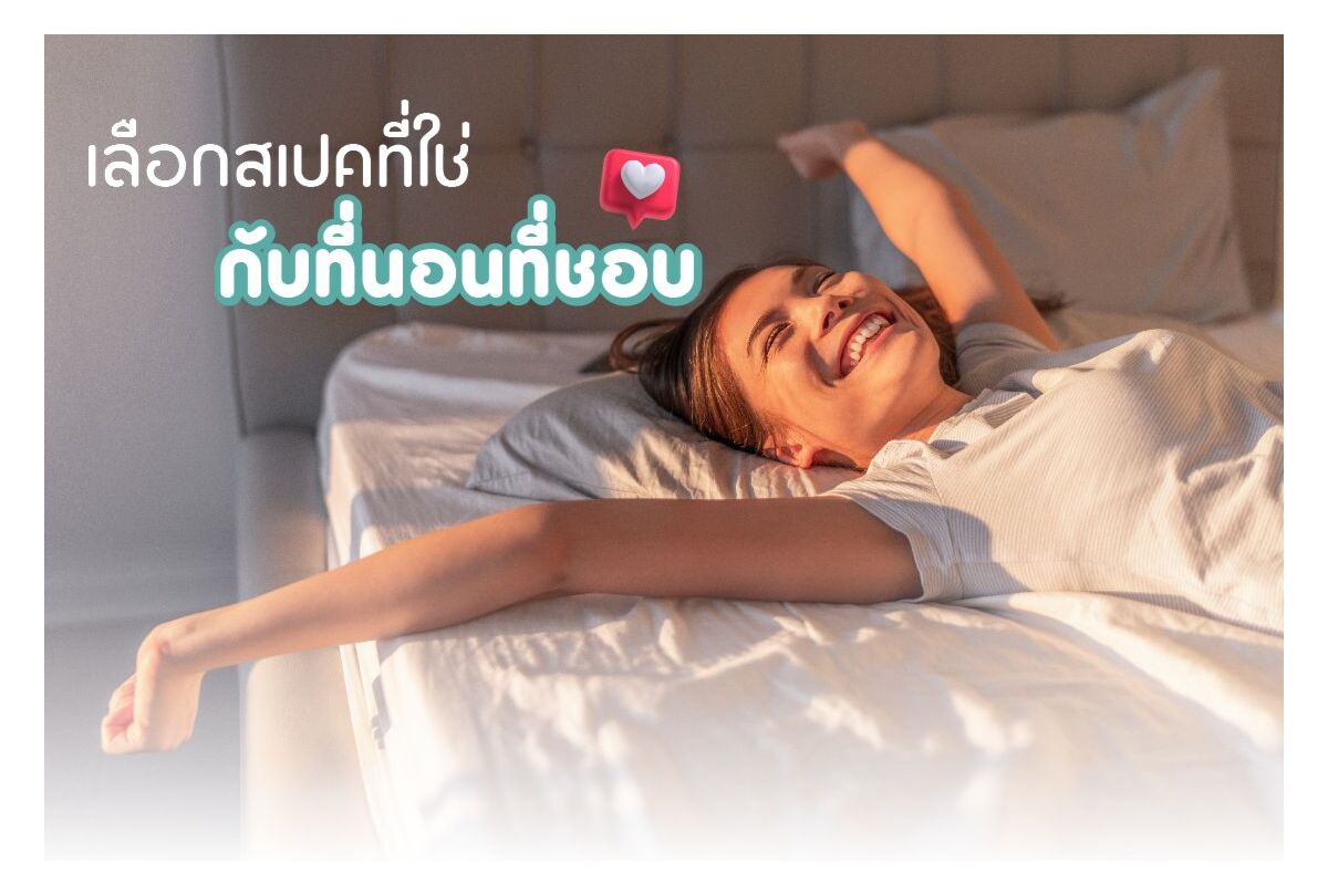 mattress world spec01