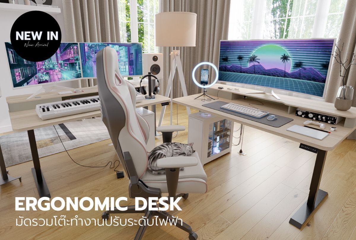 Ergonomic desk โต๊ะปรับระดับเพื่อสุขภาพ