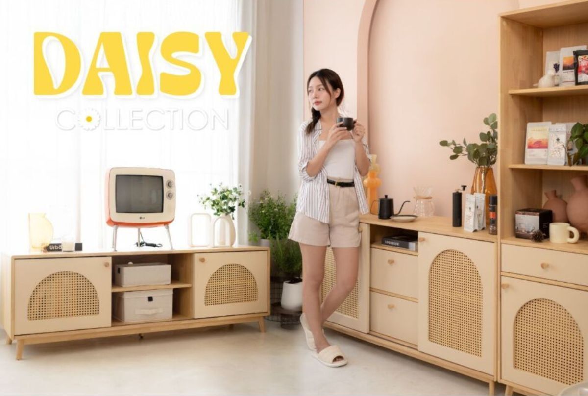 DAISY COLLECTION