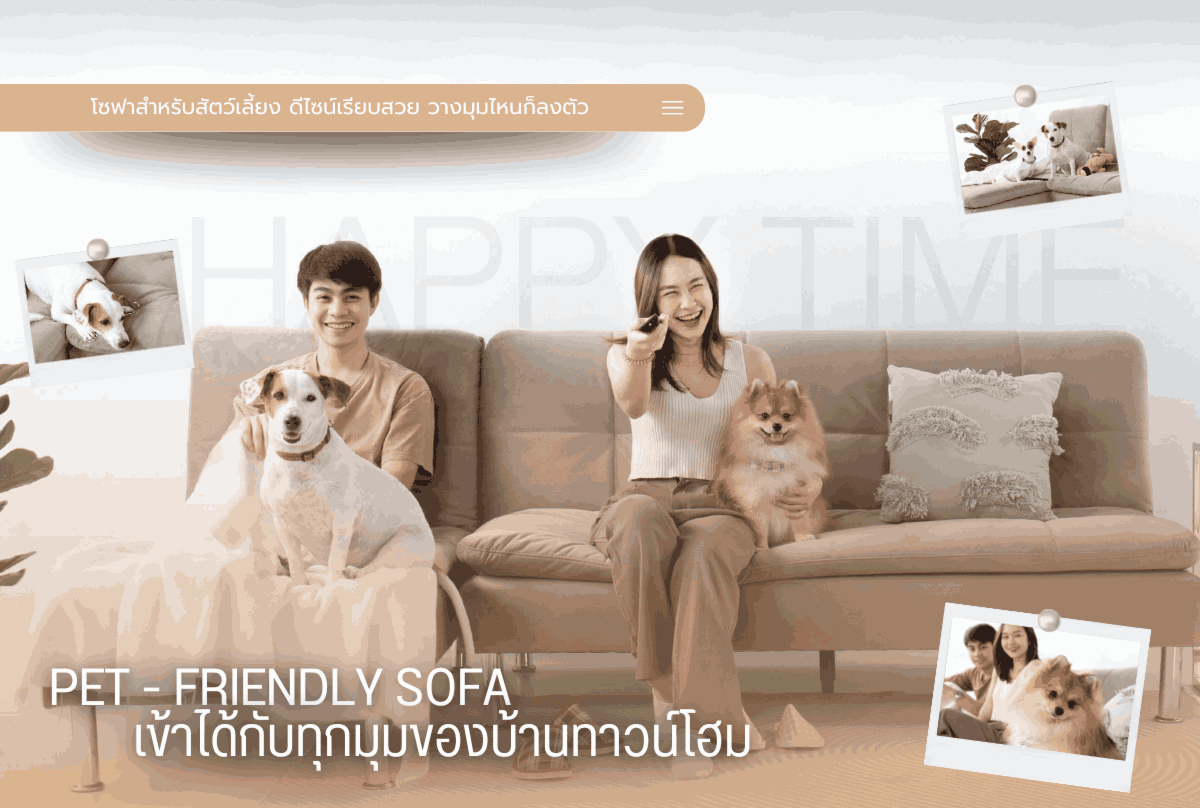 PET-Friendly Sofas – Perfectly Fit Every Corner of Your Townhome