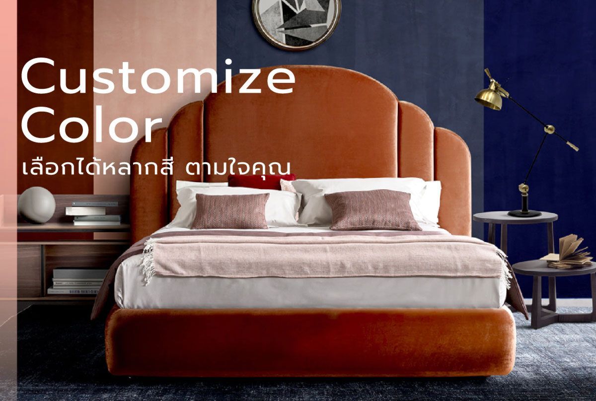 Customize Color เลือกได้หลากสี ตามใจคุณ