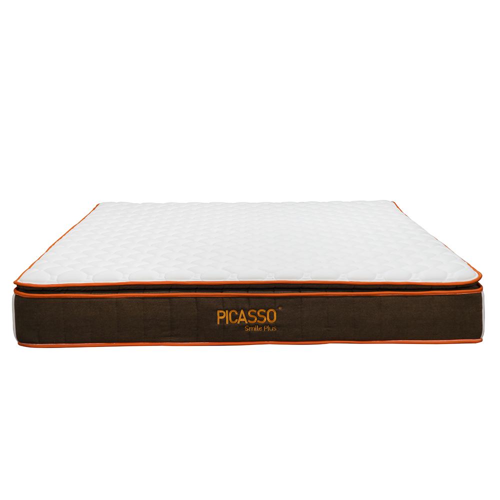 ที่นอน PICASSO รุ่น SMILE PLUS ขนาด 6 ฟุต 02