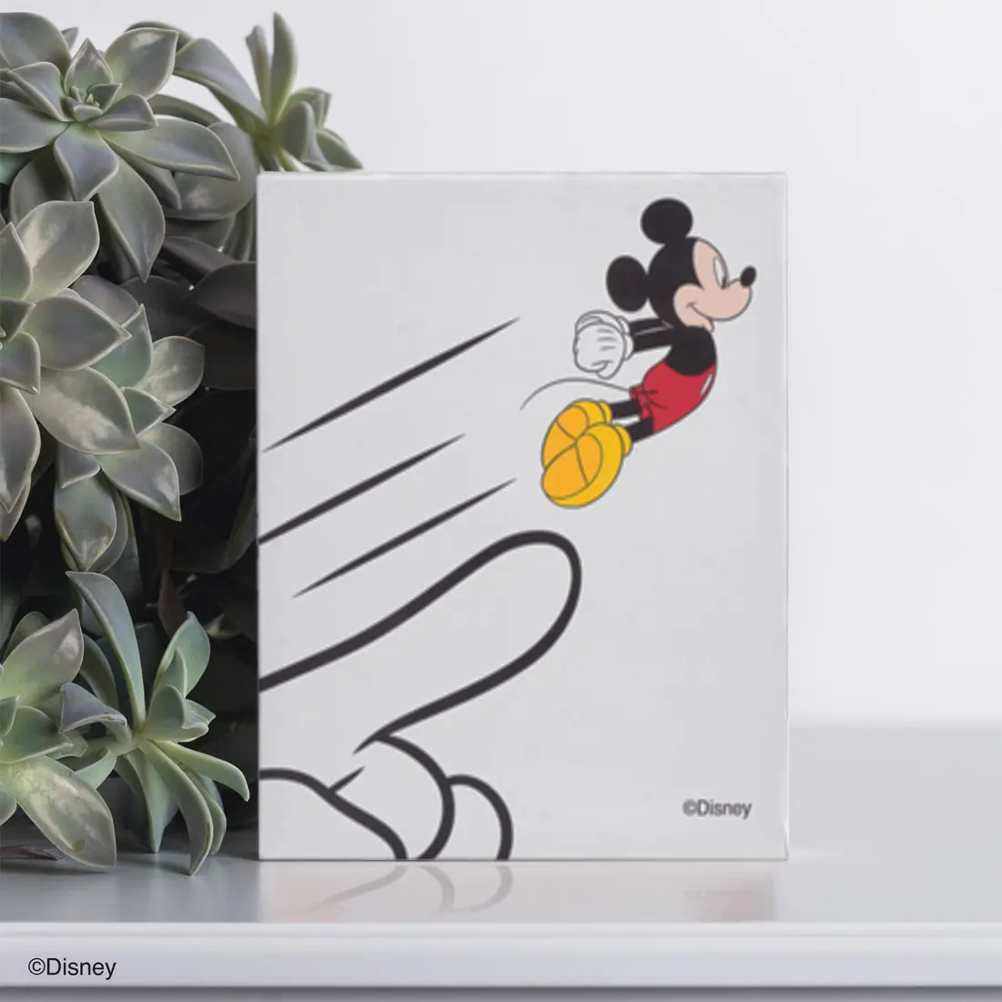 รูปภาพพร้อมแขวน DISNEY รุ่น MICKEY-MF04-S