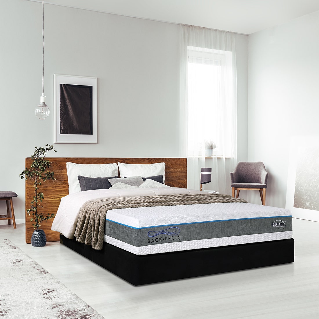 ที่นอน Back Pedic รุ่น Green 11 ขนาด 5 ฟุต แถมฟรี หมอน 2 ใบ3