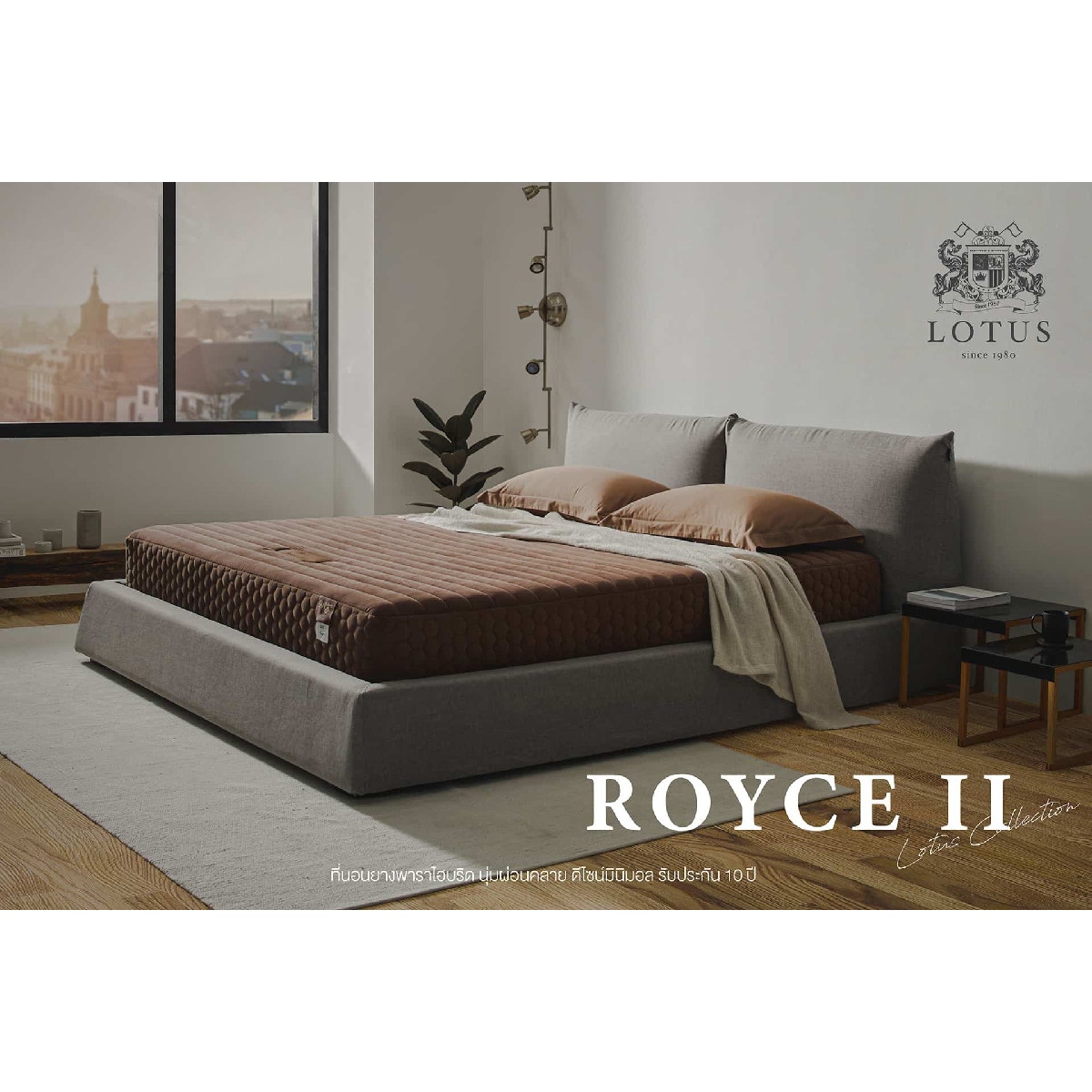 ที่นอน Lotus รุ่น Royce II ขนาด 3.5 ฟุต 16