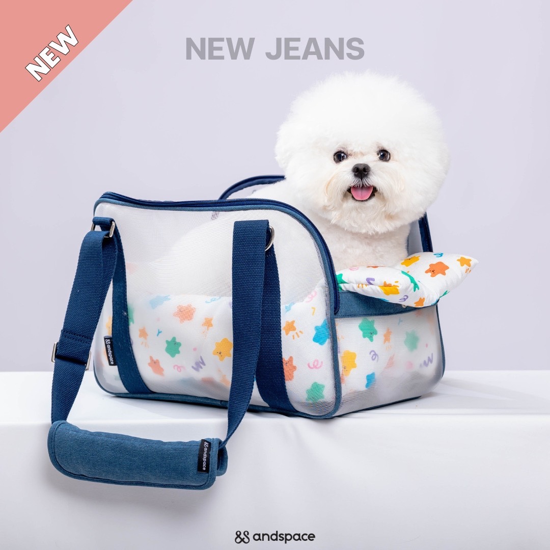 SPRING MESH BAG size M - New Jeans