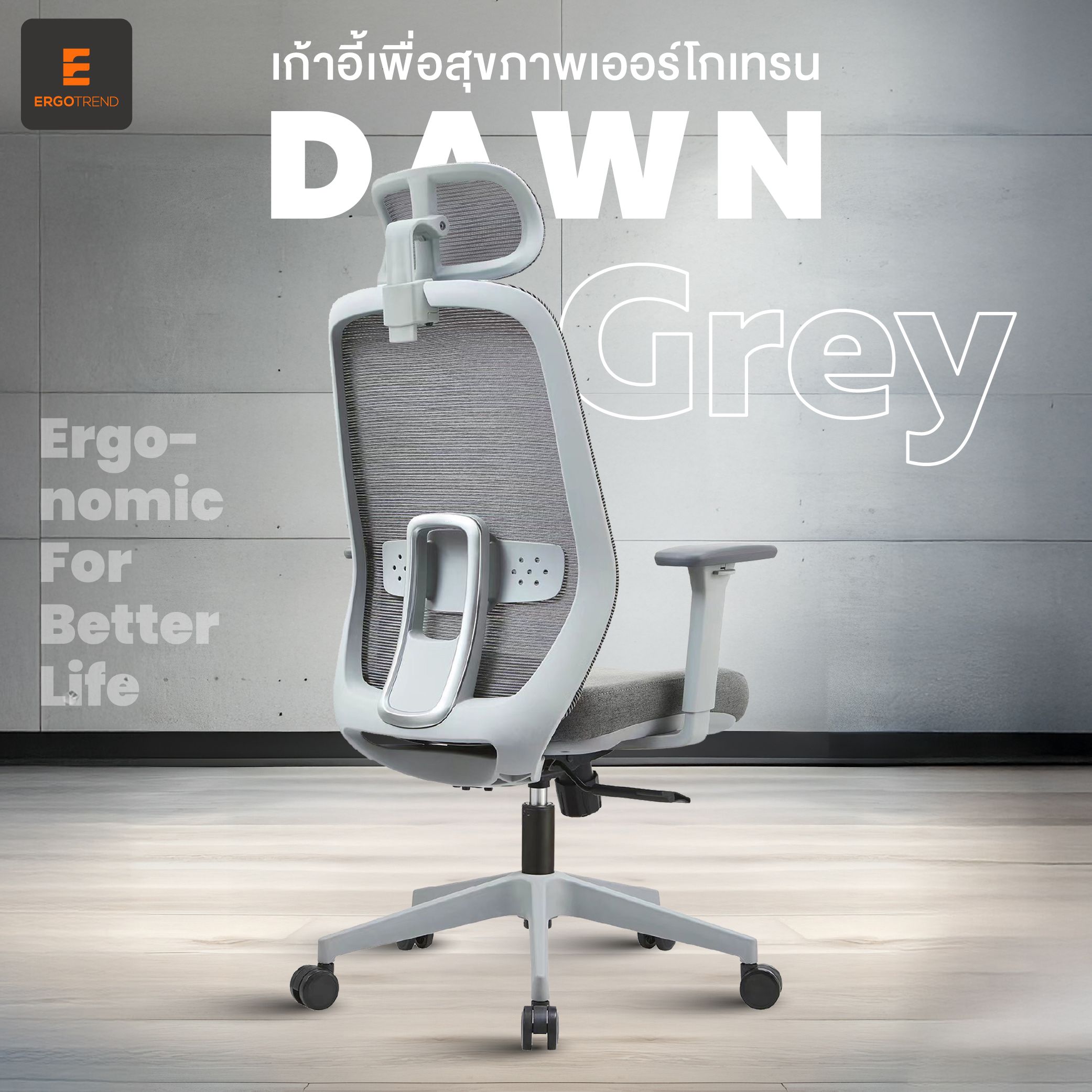 Ergotrend DAWN Grey Chair-1