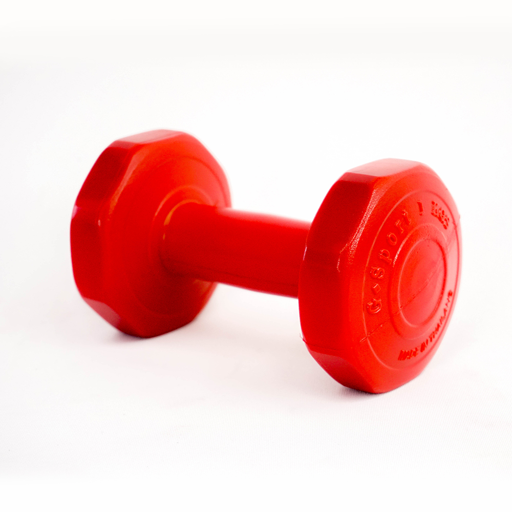 GSports Dumbbell 1KG-1