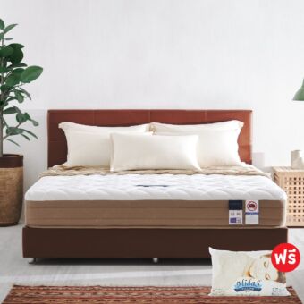 ที่นอนสุญญากาศ Midas รุ่น Dynamik 3000 ขนาด 3.5 ฟุต แถมฟรี หมอนหนุน 1 ใบ