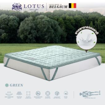 ท็อปเปอร์ LOTUS รุ่น FORESTEX I - GREEN ขนาด 3.5 ฟุต หนา 2 นิ้ว