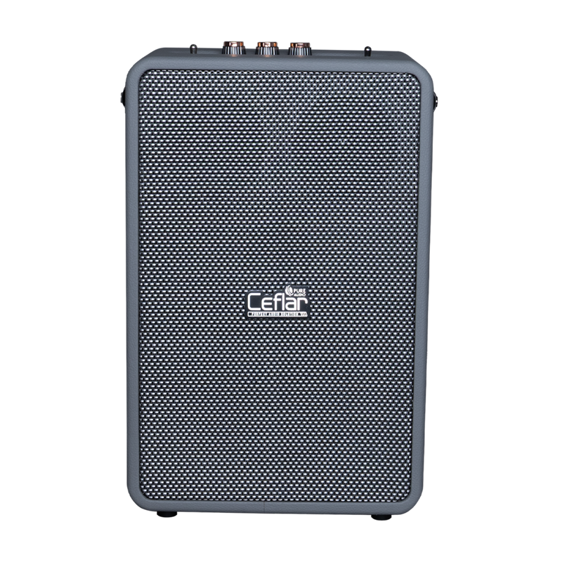 Ceflar ลำโพงบลูทูธ Pure Audio Bluetooth Party Speaker รุ่น M2 Grey