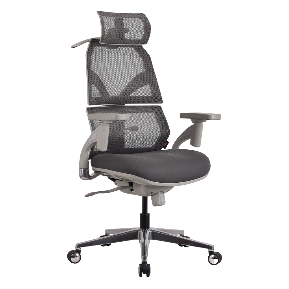 Ergotrend Malmo Gray chair-1